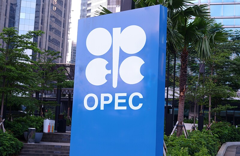 石油输出国组织（OPEC）