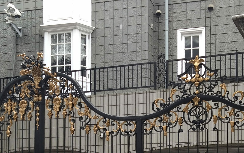 位于东京都杉并区的涉事豪宅